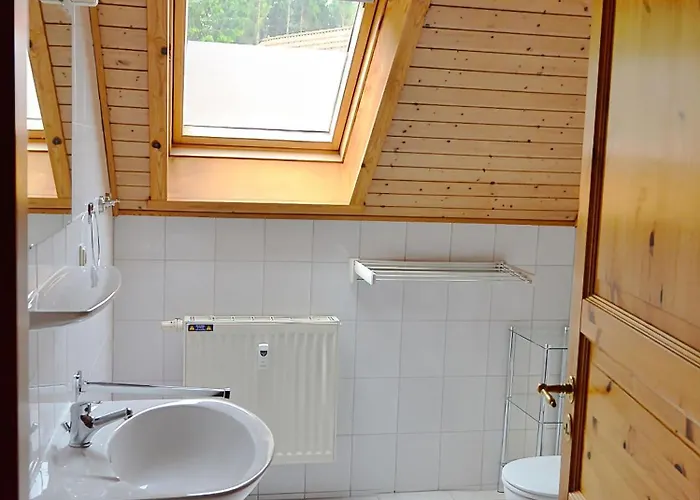 Blauvogel Bv 56 * Hasselfelde